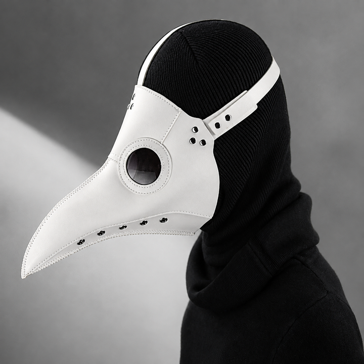 Plague Doctor Mask and Hat Steampunk Halloween Costume Accessories