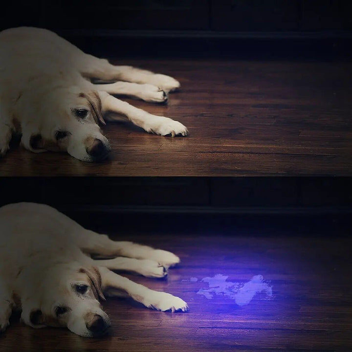 21 LED UV Pocket Light