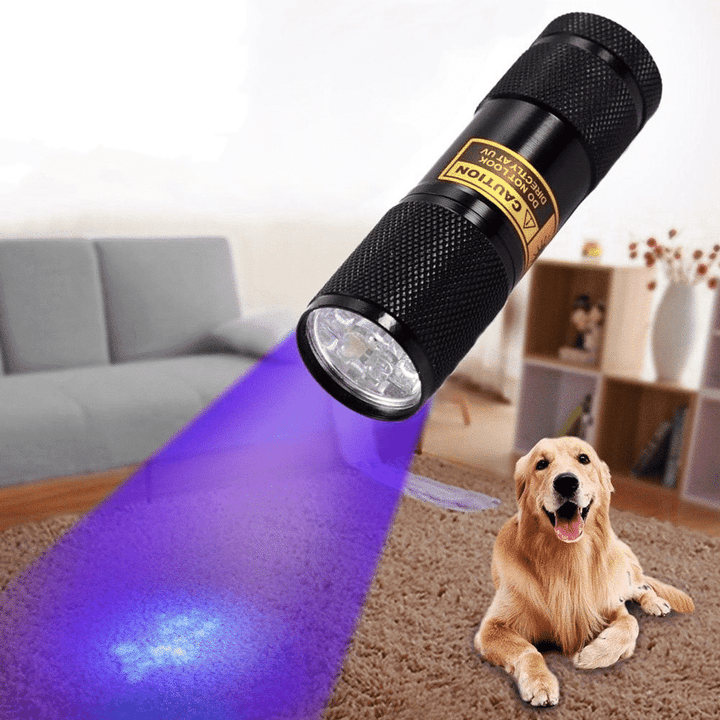 21 LED UV Pocket Light