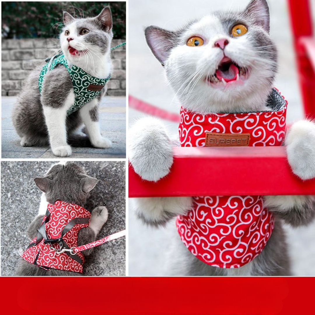 Cat Harness Secure Comfortable Fit