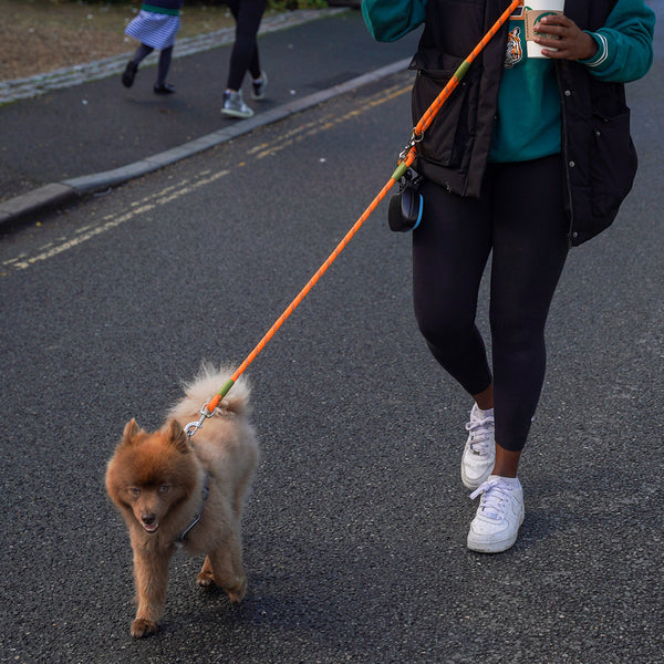 Hands-Free Dog Leash Adjustable Belt Attachment System