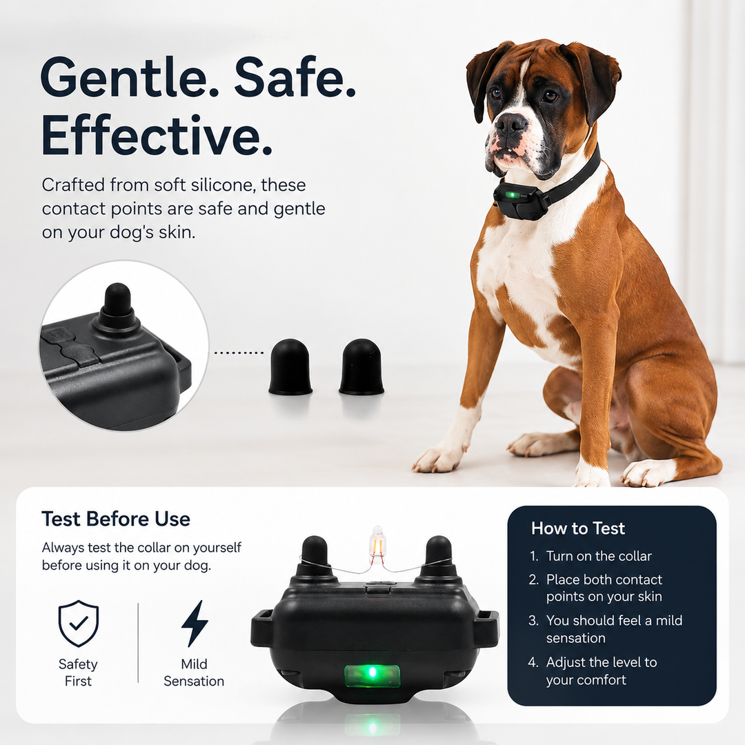 Dog Training Collar 3000FT Remote Rechargeable Waterproof for 1 2 or 3 Dogs