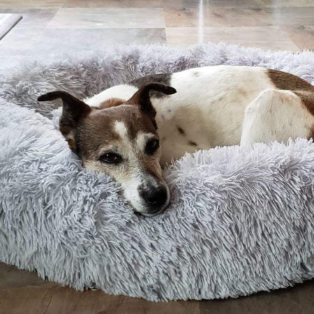 Circular Dog Bed Removable Cover
