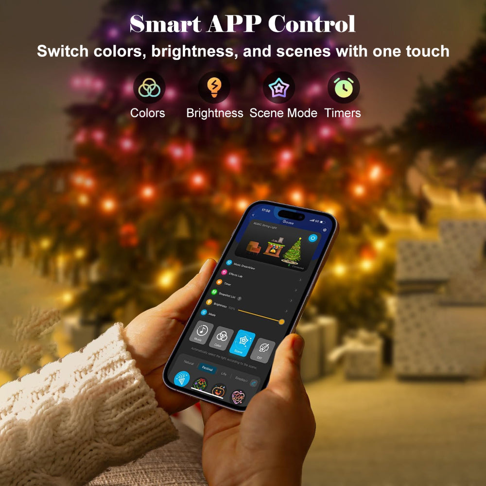 LED Outdoor Christmas Lights Smart Control