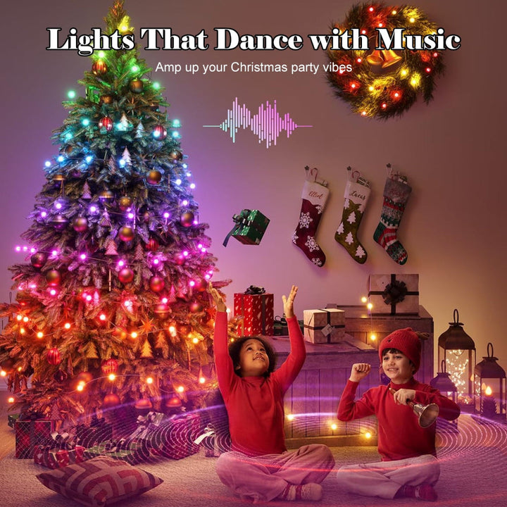 LED Outdoor Christmas Lights Smart Control