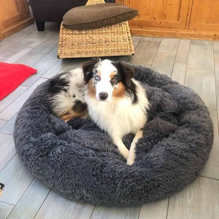 Circular Dog Bed Removable Cover
