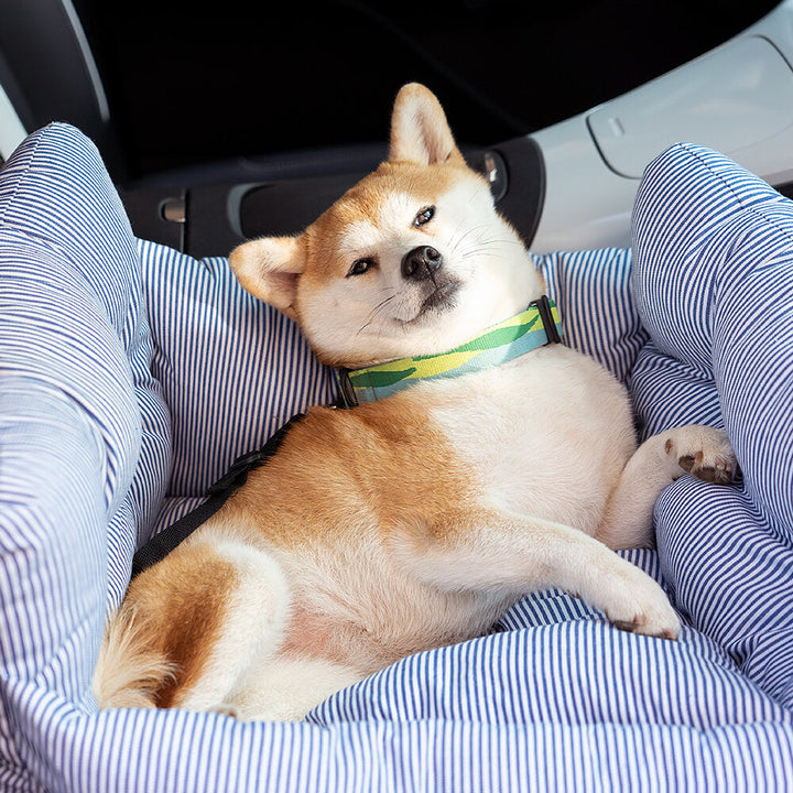 Pet Carrier Bed with Cushion and Shoulder Strap for Dogs and Cats
