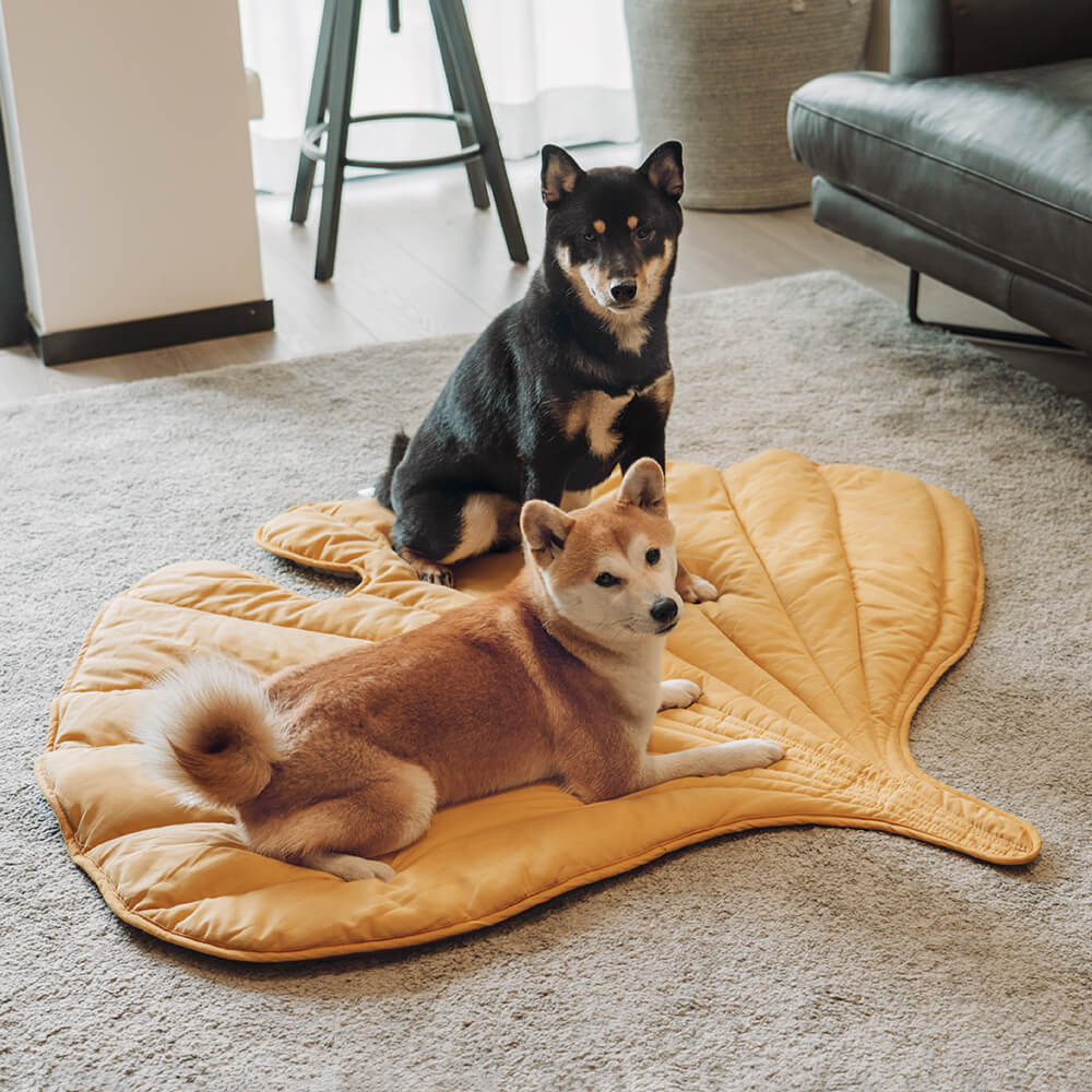 Large Dog Blanket Mat Dog Bed Cover