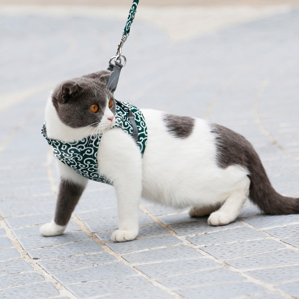 Cat Harness Secure Comfortable Fit