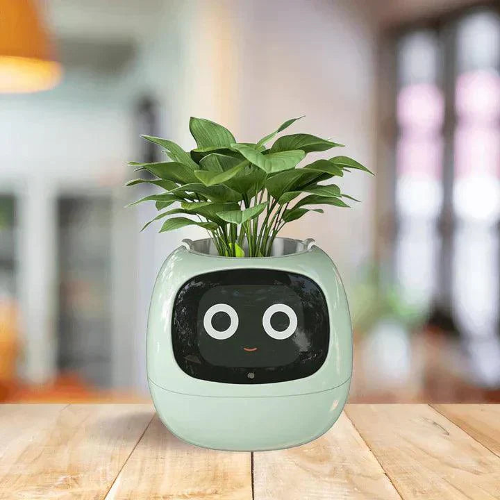 Self-Watering Indoor Plant Pot Planter for Home Office