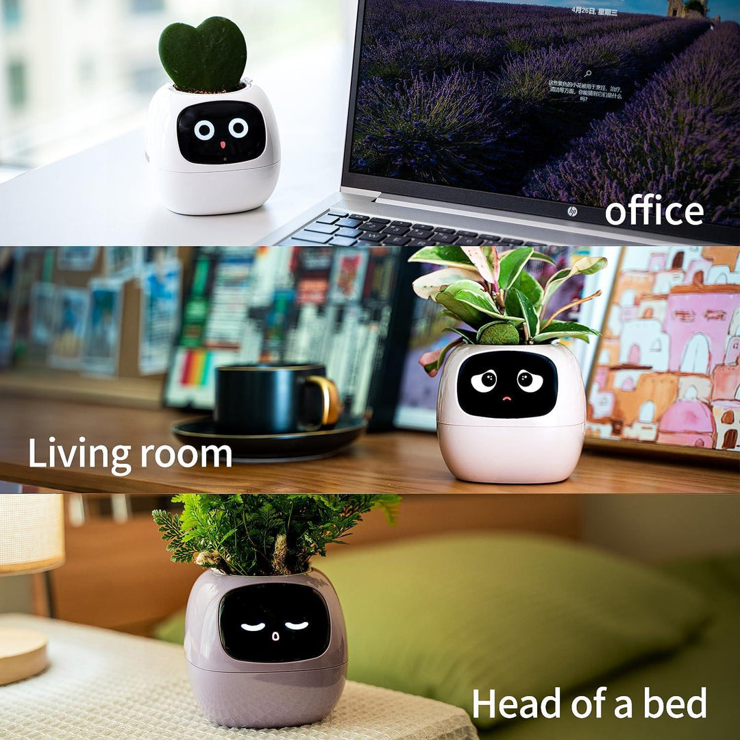 Self-Watering Indoor Plant Pot Planter for Home Office