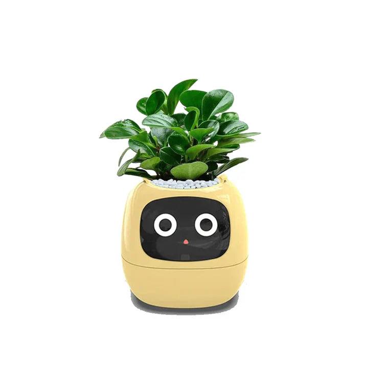 Self-Watering Indoor Plant Pot Planter for Home Office