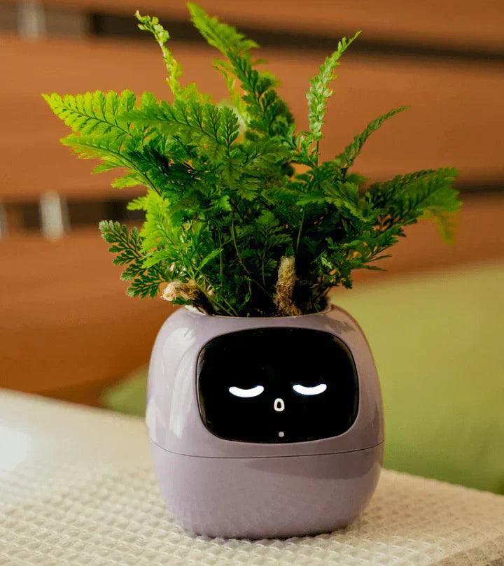 Self-Watering Indoor Plant Pot Planter for Home Office