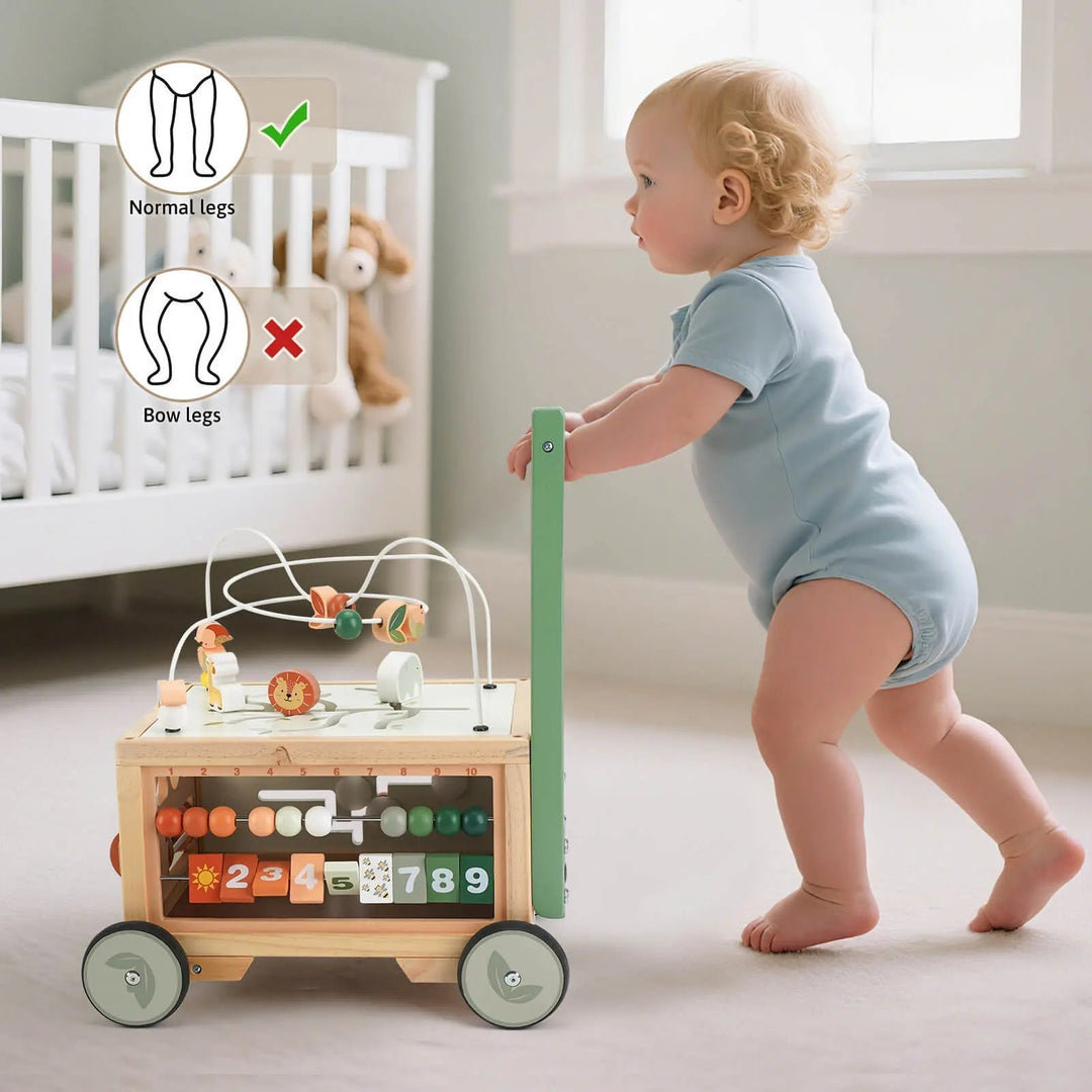 Adjustable Baby Push Walker