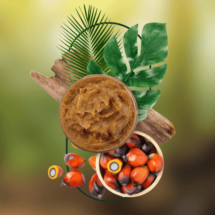 Batana Hair Oil Eco-Friendly Hair Care Product