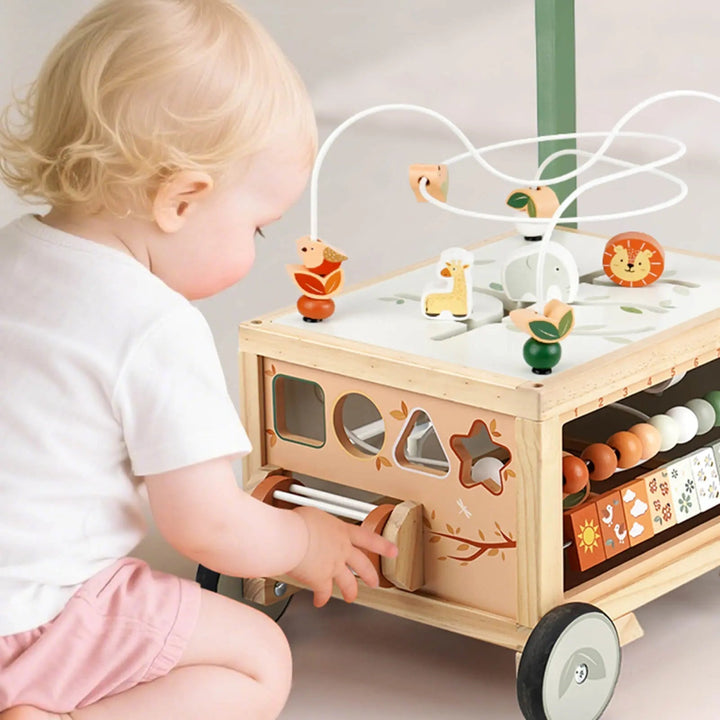 Adjustable Baby Push Walker