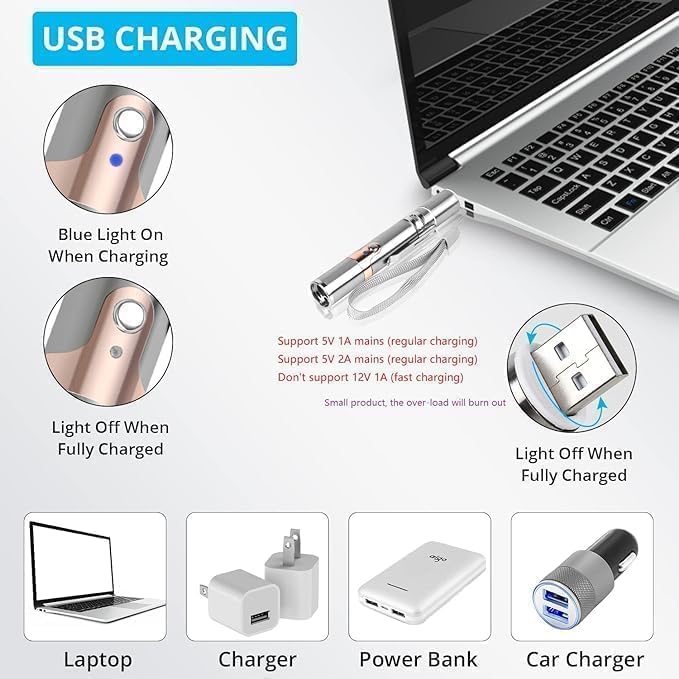 Rechargeable Laser Light Cat Toy