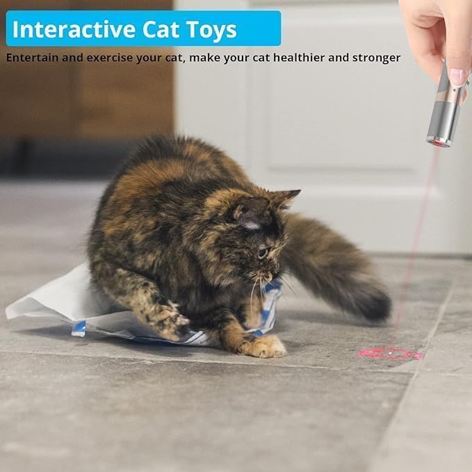 Rechargeable Laser Light Cat Toy