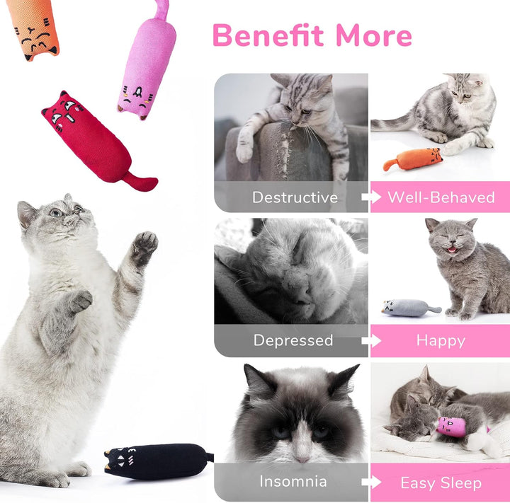Catnip Mice Toys for Cats 5 Pack Chew Toys