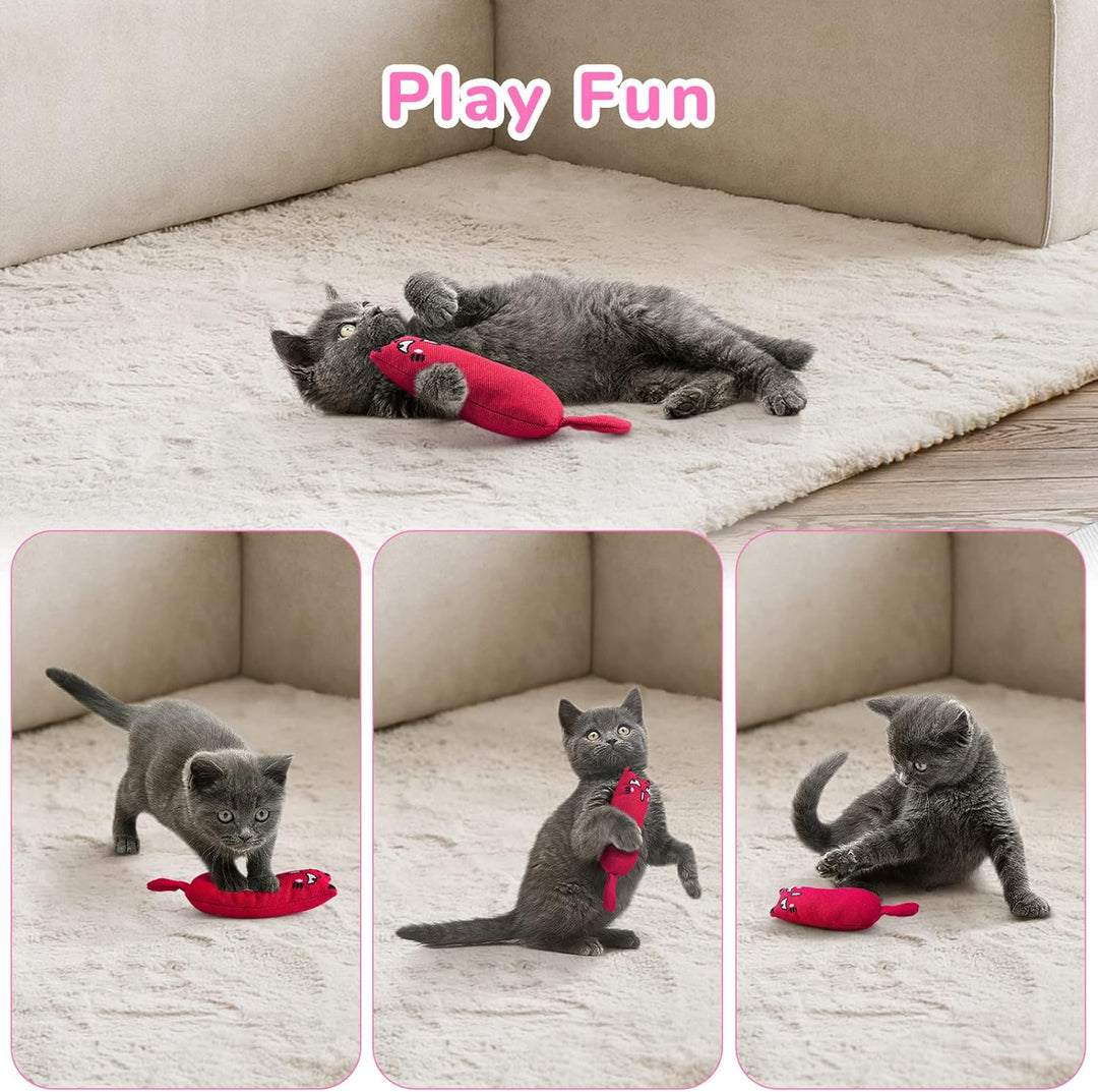 Catnip Mice Toys for Cats 5 Pack Chew Toys