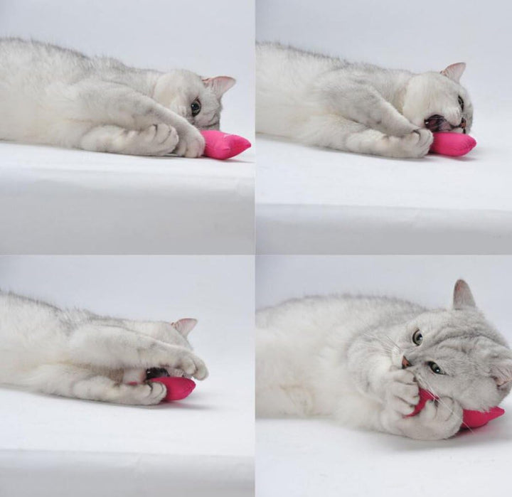 Catnip Mice Toys for Cats 5 Pack Chew Toys