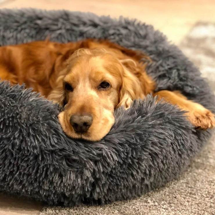 Circular Dog Bed Removable Cover