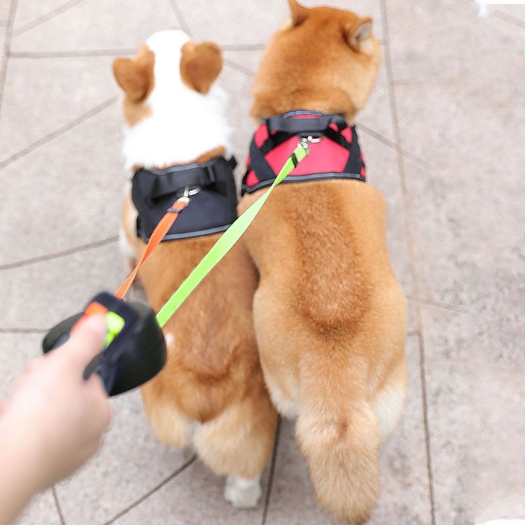Double Dog Leash Connector Anti-Tangle System
