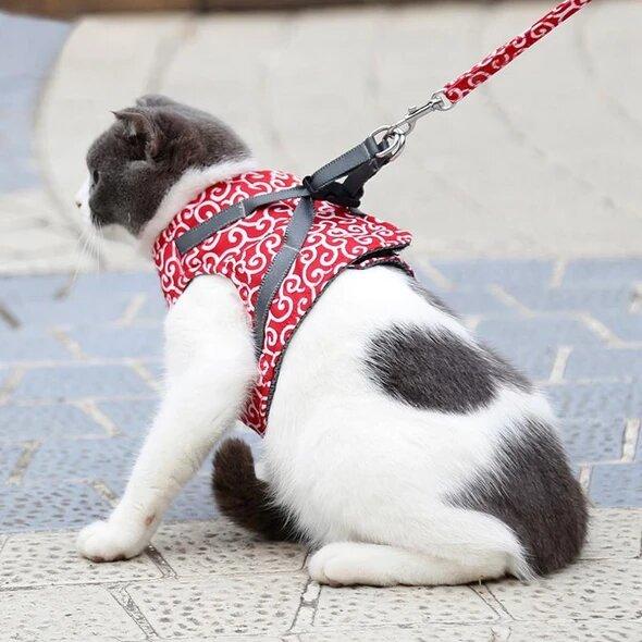 Cat Harness Secure Comfortable Fit