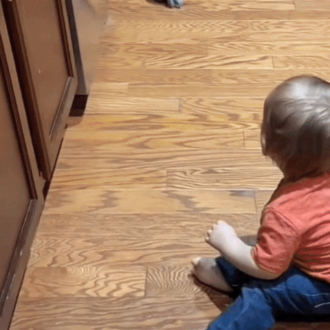 Crawling Crab Toy for Kids