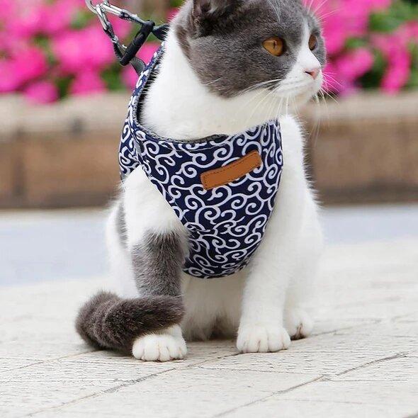 Cat Harness Secure Comfortable Fit