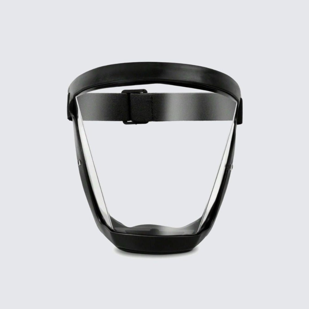 Face Shield Protection Dust Mist Guard