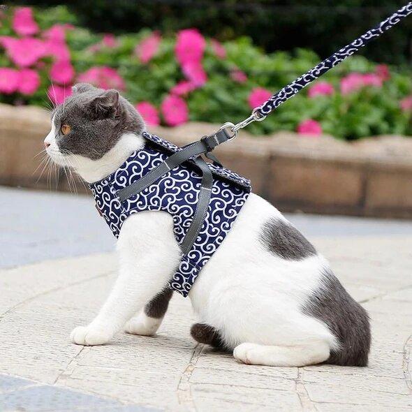 Cat Harness Secure Comfortable Fit