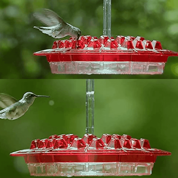 Hummingbird Feeder Ant Proof Hanging Outdoor Perch