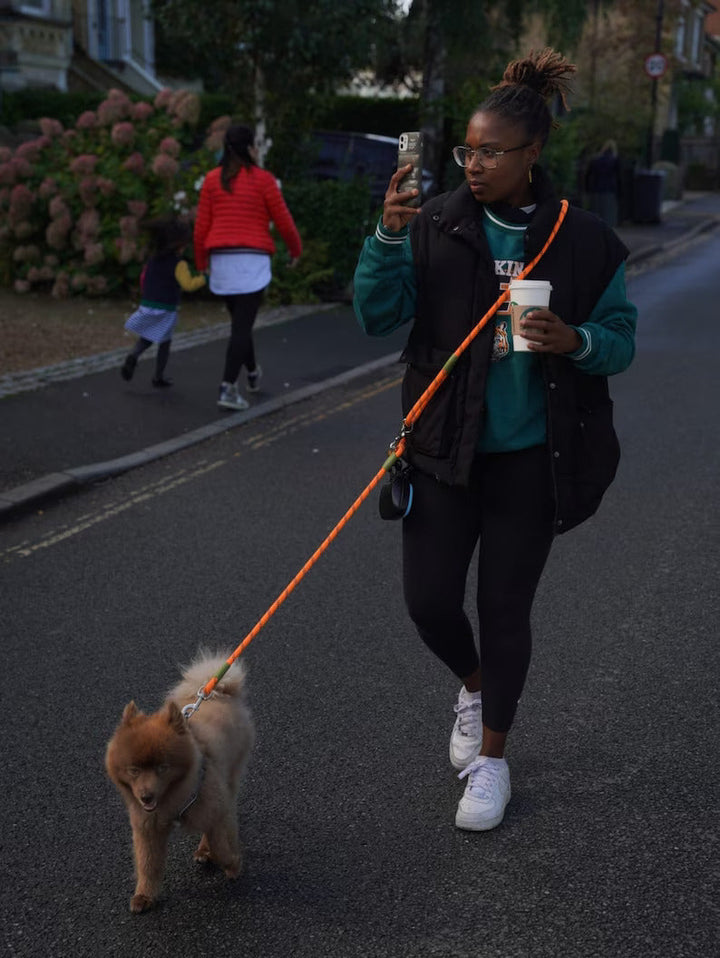 Hands-Free Dog Leash Adjustable Belt Attachment System