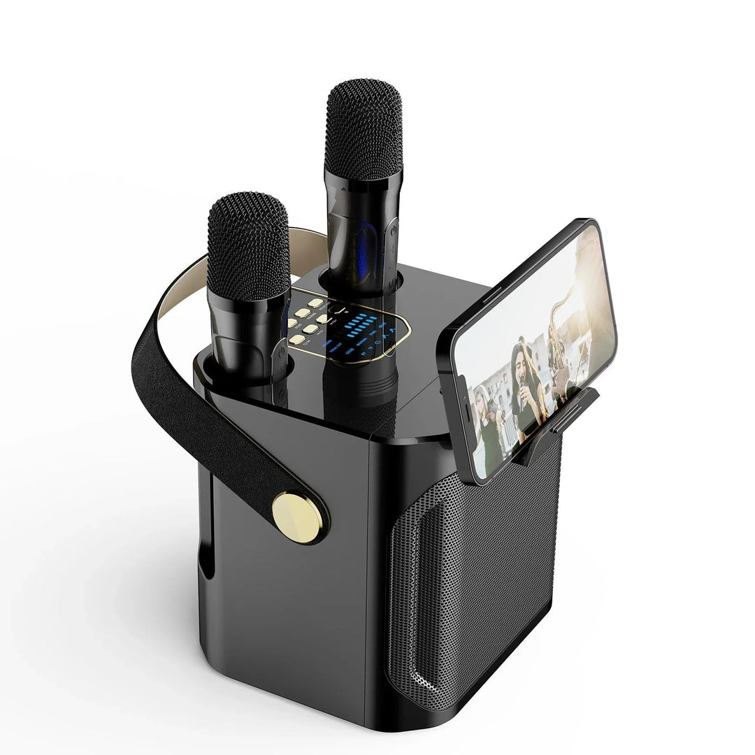 Karaoke Bluetooth Speaker Portable 360 Degree Sound System