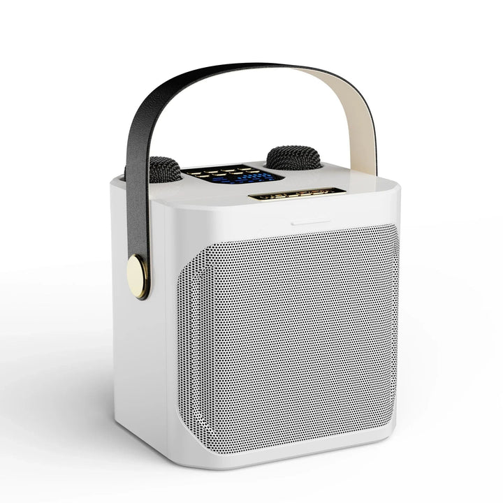 Karaoke Bluetooth Speaker Portable 360 Degree Sound System