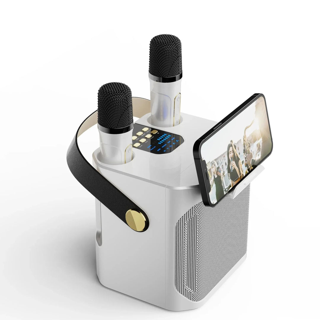 Karaoke Bluetooth Speaker Portable 360 Degree Sound System