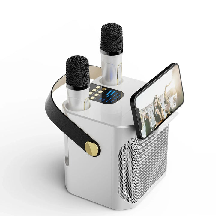 Karaoke Bluetooth Speaker Portable 360 Degree Sound System