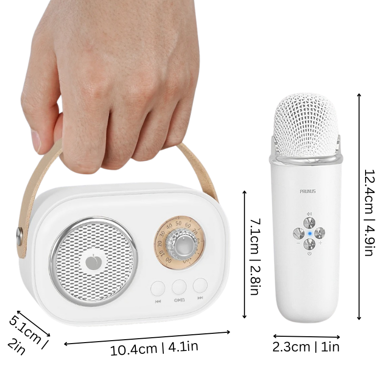 Karaoke Machine Bluetooth Speaker Portable Audio System