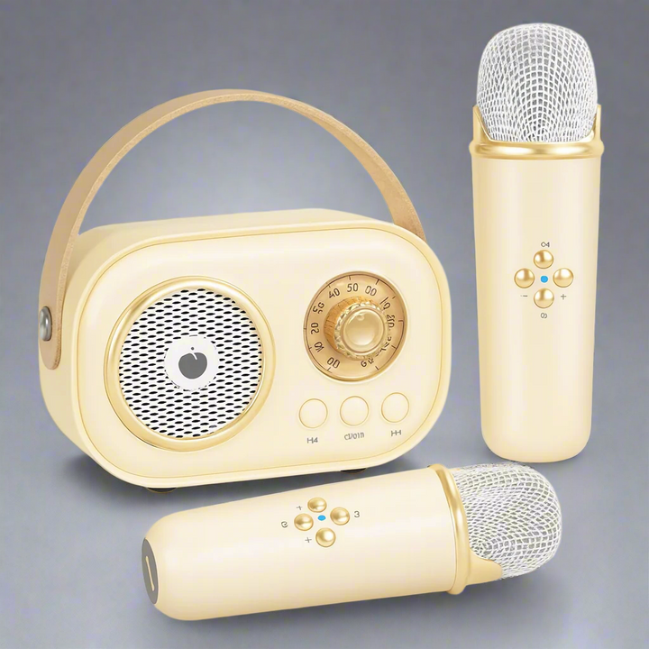 Karaoke Machine Bluetooth Speaker Portable Audio System