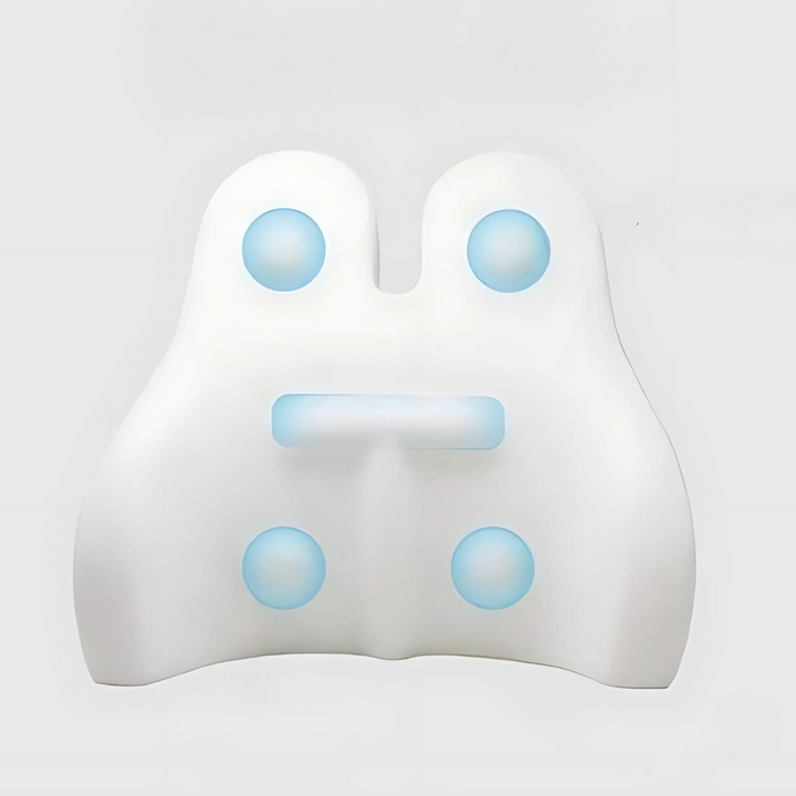 Memory Foam Lumbar Support Cushion Pillow