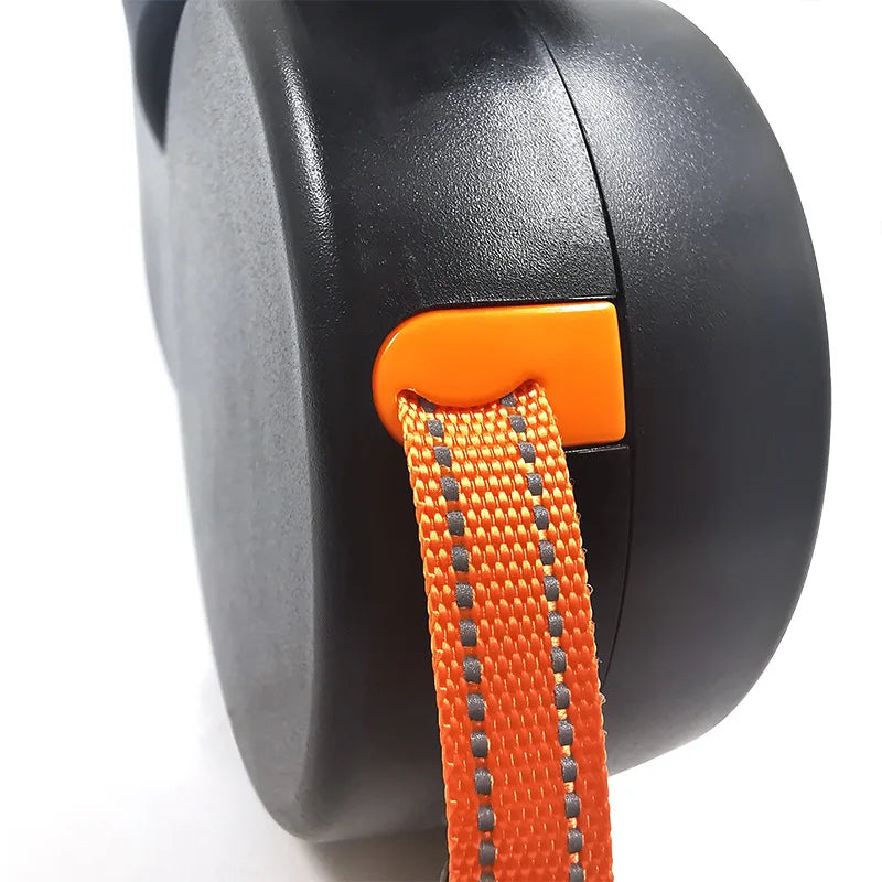 Double Dog Lead with LED Light