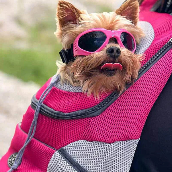 Pet Backpack Carrier for Dogs Cats Adjustable