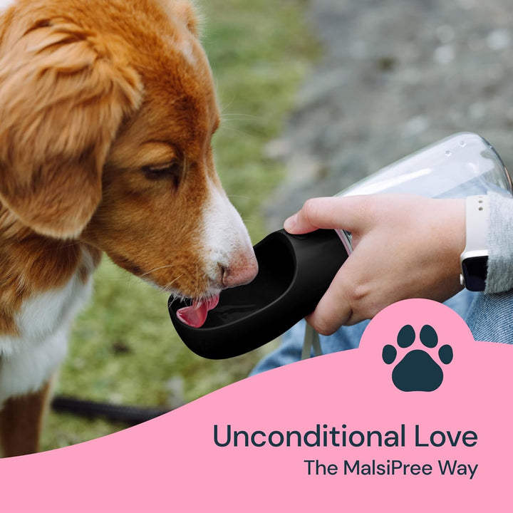 Portable Dog Water Bottle 19 oz Travel Pet Water Dispenser