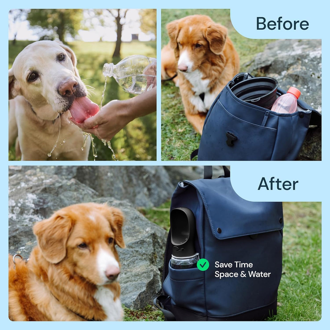 Portable Dog Water Bottle 19 oz Travel Pet Water Dispenser