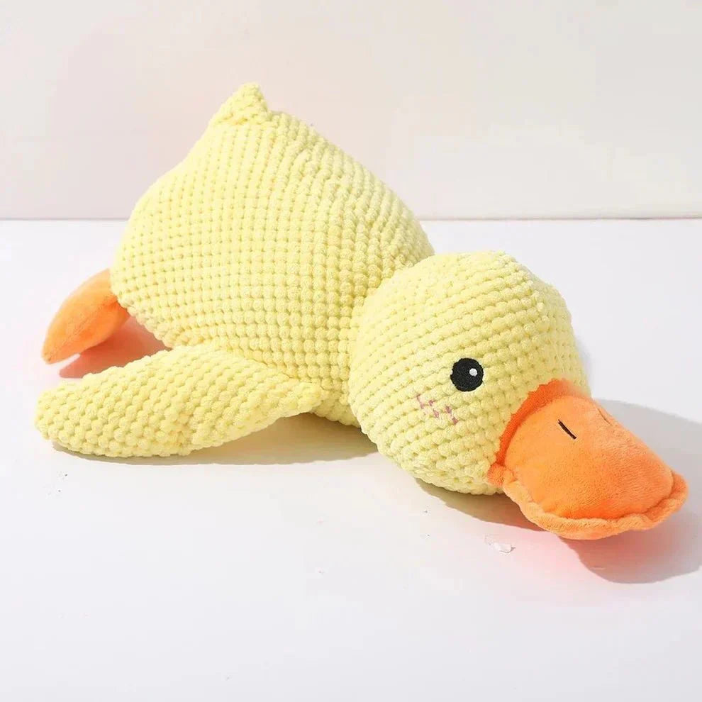 Dog Toy Duck