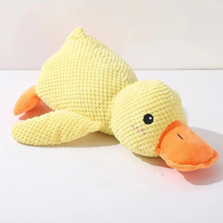 Dog Toy Duck
