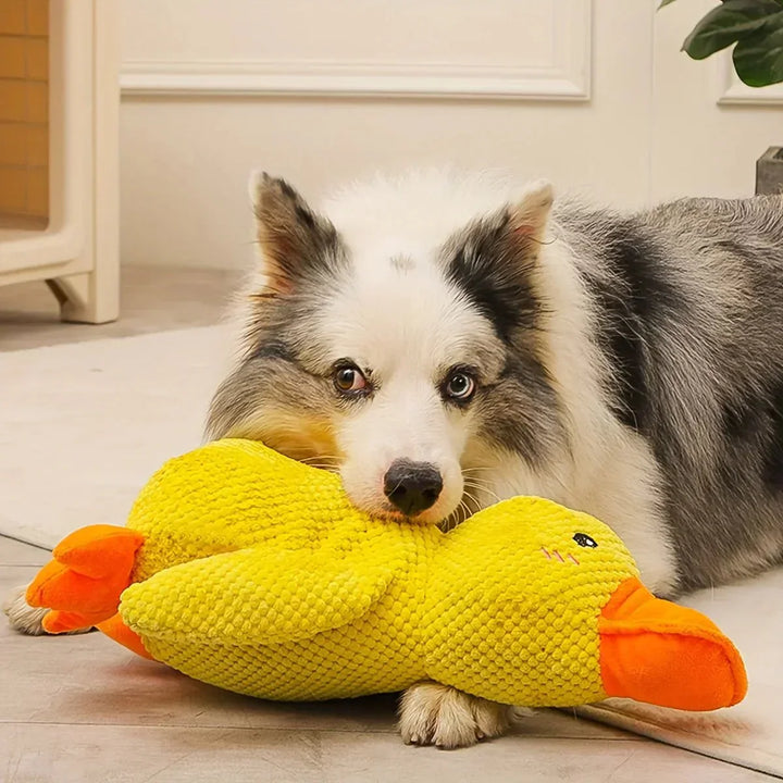Dog Toy Duck