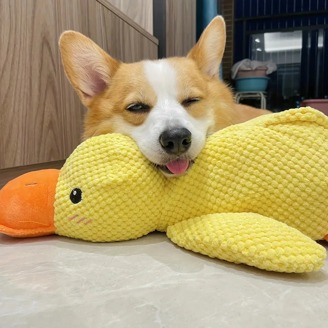 Dog Toy Duck
