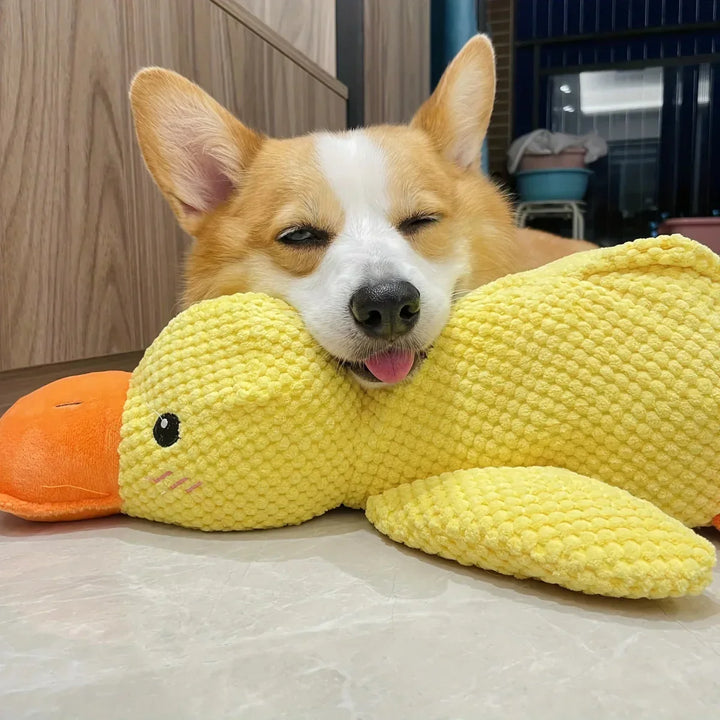 Dog Toy Duck